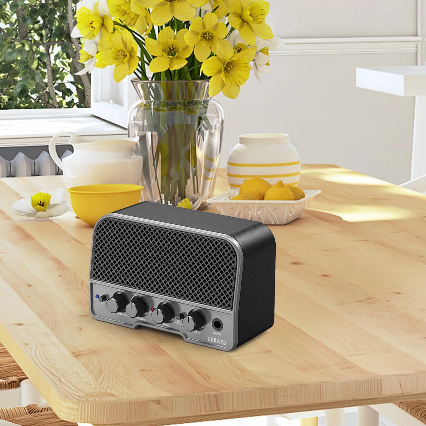 Lekato Mini Portable Acoustic Guitar Amplifier Speaker 5Watt Acoustic Guitar Amplifier Normal Bright Dual Channels
